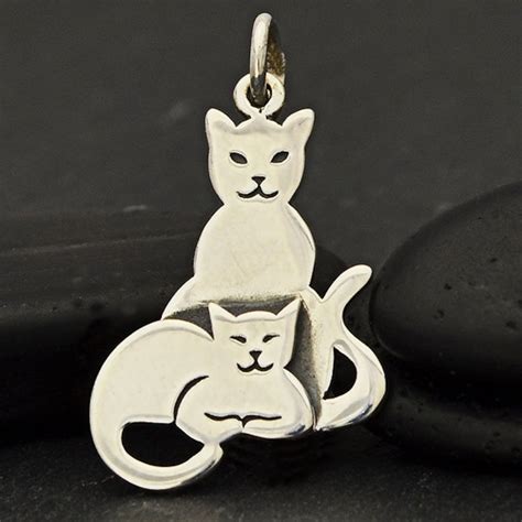 Unraveling the Mysteries of the Evil Fortune Cat Charm